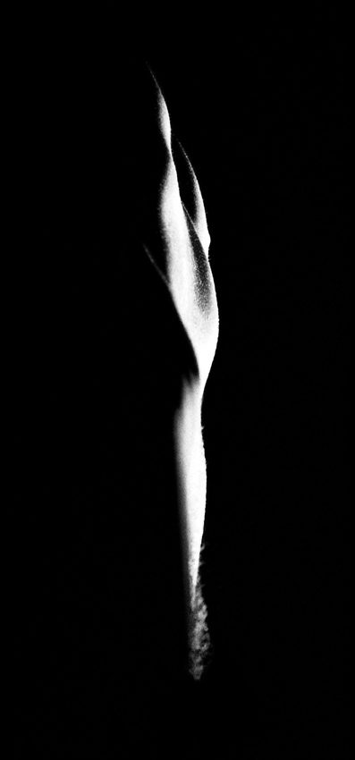 photo noir et blanc corps de femme nue du pubis aux épaules éclarage frôlant la peau donnant l'impression d'une flamme